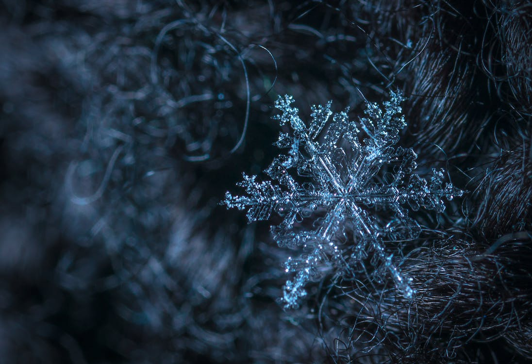 Observe and embrace the structures which form naturally